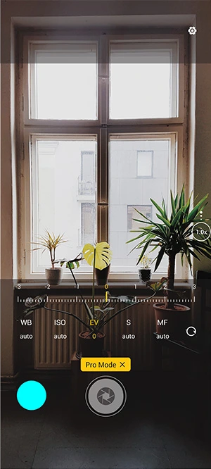 A15 phone camera pro mode plants on a window sil