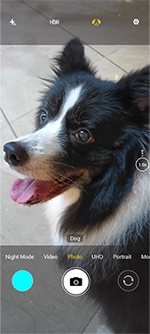 A25 phone ai camera image of a dog