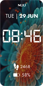 B40 vista display v1